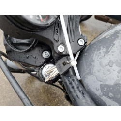 2022 HARLEY-DAVIDSON XL883 N 1HD4LE210NB415986 49134714
