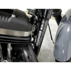2022 HARLEY-DAVIDSON XL883 N 1HD4LE214NB416557 52862784
