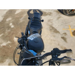 2020 HARLEY-DAVIDSON XL883 N 1HD4LE213LB421732 49105064