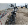 2022 HARLEY-DAVIDSON XL883 N 1HD4LE219NB401388 46826154