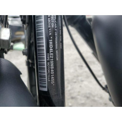 2022 HARLEY-DAVIDSON XL883 N 1HD4LE219NB401455 50429324