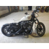 2022 HARLEY-DAVIDSON XL883 N 1HD4LE213NB415156 50894484