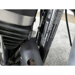 2020 HARLEY-DAVIDSON XL883 N 1HD4LE217LB410037 49899174