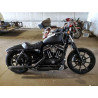 2022 HARLEY-DAVIDSON XL883 N 1HD4LE216NB406273 53274884