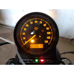 2022 HARLEY-DAVIDSON XL883 N 1HD4LE216NB406273 53274884