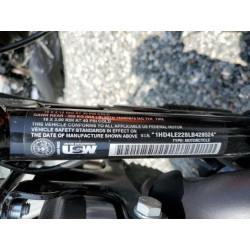 2020 HARLEY-DAVIDSON XL883 N 1HD4LE228LB428524 49696833