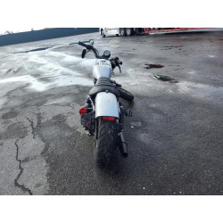 2020 HARLEY-DAVIDSON XL883 N 1HD4LE215LB427659 55075094