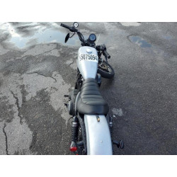 2020 HARLEY-DAVIDSON XL883 N 1HD4LE215LB427659 55075094