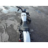 2020 HARLEY-DAVIDSON XL883 N 1HD4LE215LB427659 55075094