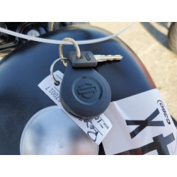 2020 HARLEY-DAVIDSON XL883 N 1HD4LE222LB427997 54646404