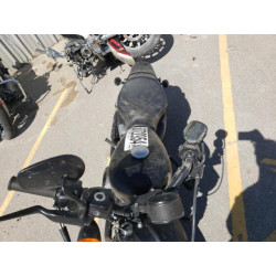 2020 HARLEY-DAVIDSON XL883 N 1HD4LE217LB434144 50722954