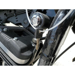 2020 HARLEY-DAVIDSON XL883 N 1HD4LE215LB434823 55203934