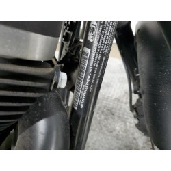 2020 HARLEY-DAVIDSON XL883 N 1HD4LE219LB412078 50655004