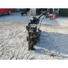 2022 HARLEY-DAVIDSON XL883 N 1HD4LE215NB412050 51466324