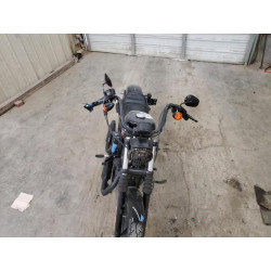 2020 HARLEY-DAVIDSON XL883 N 1HD4LE212LB424072 57889284