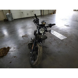 2021 HARLEY-DAVIDSON XL883 N 1HD4LE210MB400905 54532864
