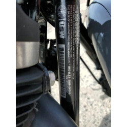 2022 HARLEY-DAVIDSON XL883 N 1HD4LE213NB406389 58201134