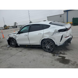 2023 BMW X6