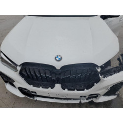 2023 BMW X6
