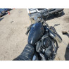 2022 HARLEY-DAVIDSON XL883 N 1HD4LE218NB415623 42067584