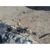 2022 HARLEY-DAVIDSON XL883 N 1HD4LE218NB415623 42067584