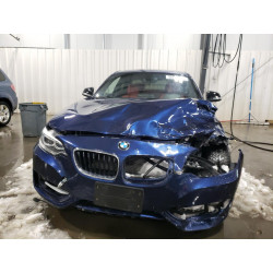 2015 BMW 2 SERIES