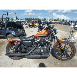 2020 HARLEY-DAVIDSON XL883 N 1HD4LE218LB429728 61231944
