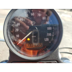 2020 HARLEY-DAVIDSON XL883 N 1HD4LE218LB429728 61231944