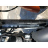 2020 HARLEY-DAVIDSON XL883 N 1HD4LE218LB429728 61231944