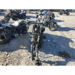 2020 HARLEY-DAVIDSON XL883 N 1HD4LE223LB402607 58010304