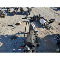 2020 HARLEY-DAVIDSON XL883 N 1HD4LE223LB402607 58010304