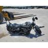 2022 HARLEY-DAVIDSON XL883 N 1HD4LE215NB402747 57429264