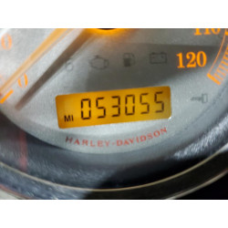 2009 HARLEY-DAVIDSON FL
