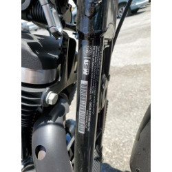 2021 HARLEY-DAVIDSON XL883 N 1HD4LE222MB406794 59540934