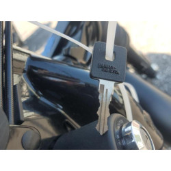 2022 HARLEY-DAVIDSON XL883 N 1HD4LE210NB414451 57187764