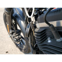 2020 HARLEY-DAVIDSON XL883 N 1HD4LE213LB424081 63481794