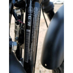 2020 HARLEY-DAVIDSON XL883 N 1HD4LE213LB424081 63481794