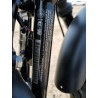 2020 HARLEY-DAVIDSON XL883 N 1HD4LE213LB424081 63481794