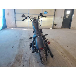 2020 HARLEY-DAVIDSON XL883 N 1HD4LE211LB419574 59954694