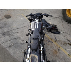 2015 HARLEY-DAVIDSON FL