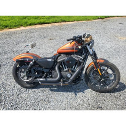 2020 HARLEY-DAVIDSON XL883 N 1HD4LE217LB409650 65650184