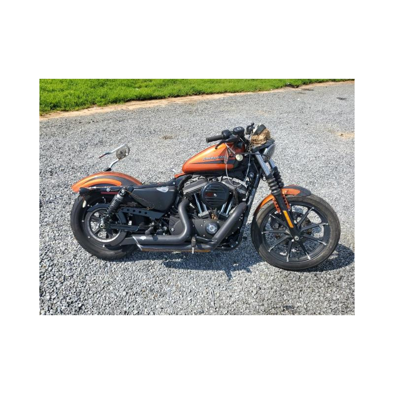 2020 HARLEY-DAVIDSON XL883 N 1HD4LE217LB409650 65650184 2020 HARLEY-DAVIDSON XL883 N 1HD4LE217LB409650 65650184