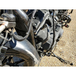 2020 HARLEY-DAVIDSON XL883 N 1HD4LE21XLB418276 74514293
