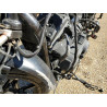 2020 HARLEY-DAVIDSON XL883 N 1HD4LE21XLB418276 74514293
