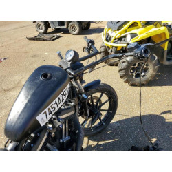 2020 HARLEY-DAVIDSON XL883 N 1HD4LE21XLB418276 74514293