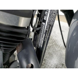 2022 HARLEY-DAVIDSON XL883 N 1HD4LE215NB401680 64622024