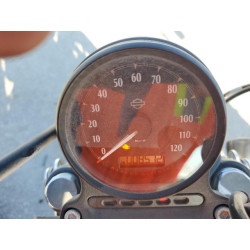 2020 HARLEY-DAVIDSON XL883 N 1HD4LE21XLB417838 66763914