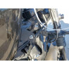 2020 HARLEY-DAVIDSON XL883 N 1HD4LE21XLB417838 66763914