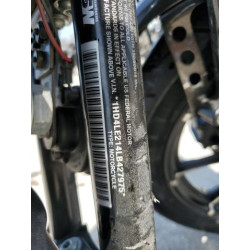2020 HARLEY-DAVIDSON XL883 N 1HD4LE214LB427975 68607084