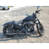 2022 HARLEY-DAVIDSON XL883 N 1HD4LE211NB407962 67646214